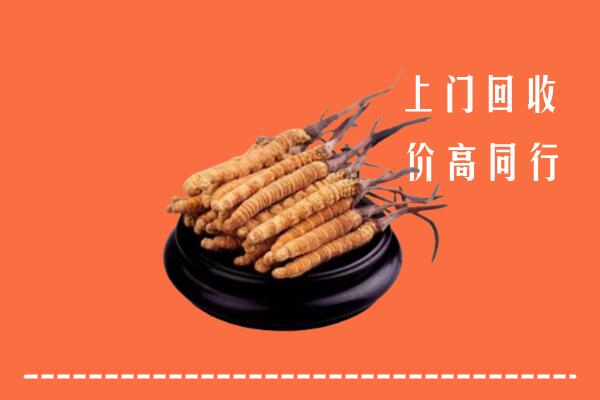 高价求购：定海区回收散虫草