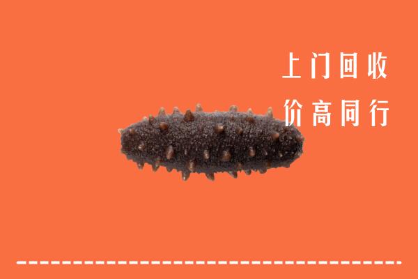 高价求购：定海区回收海参